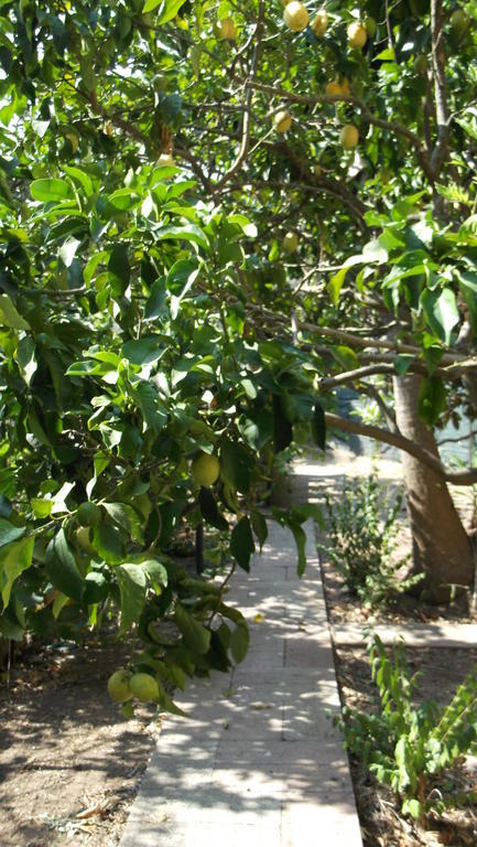 Solimarina Alghero Dış mekan fotoğraf